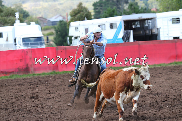 NimmitabelCampdraft2015_0152
