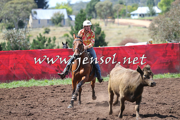 NimmitabelCampdraft2015_0207