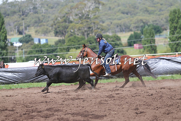 NimmitabelCampdraft2015_0287