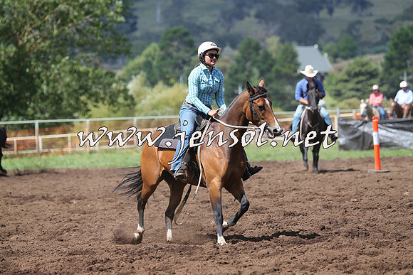 NimmitabelCampdraft2015_0267