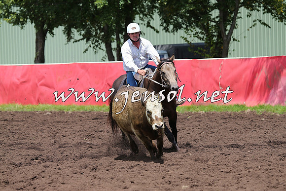 NimmitabelCampdraft2015_0115