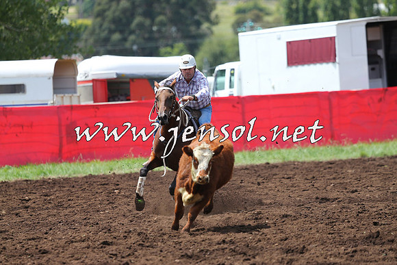 NimmitabelCampdraft2015_0052