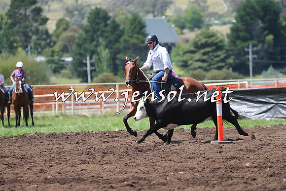 NimmitabelCampdraft2015_0101