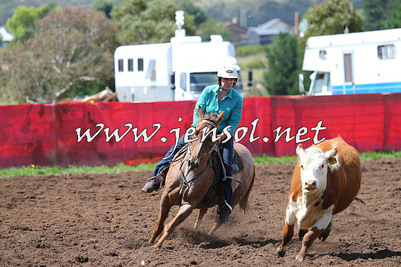 NimmitabelCampdraft2015_0217
