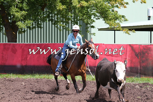 NimmitabelCampdraft2015_0253
