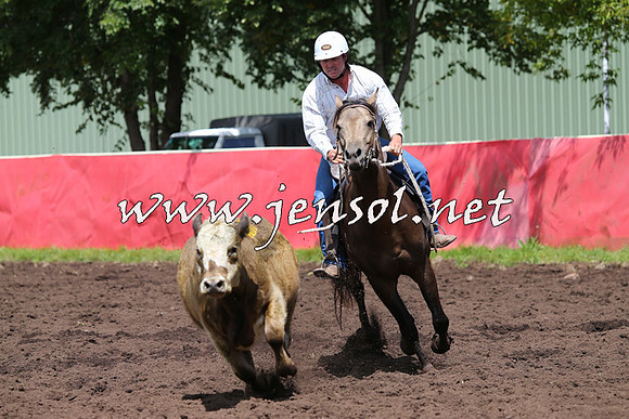 NimmitabelCampdraft2015_0113