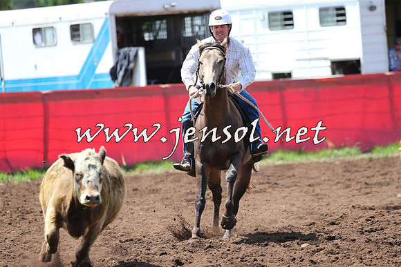NimmitabelCampdraft2015_0107