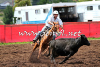 NimmitabelCampdraft2015_0042