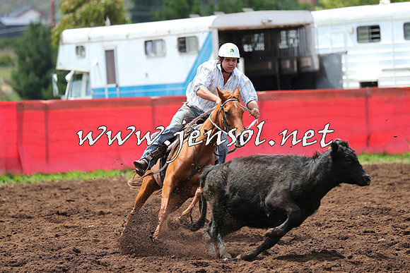NimmitabelCampdraft2015_0042