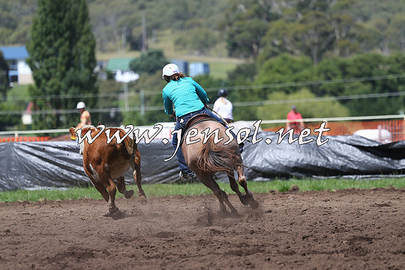 NimmitabelCampdraft2015_0228