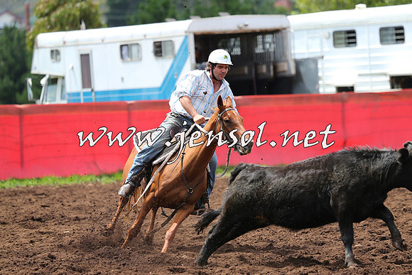 NimmitabelCampdraft2015_0044