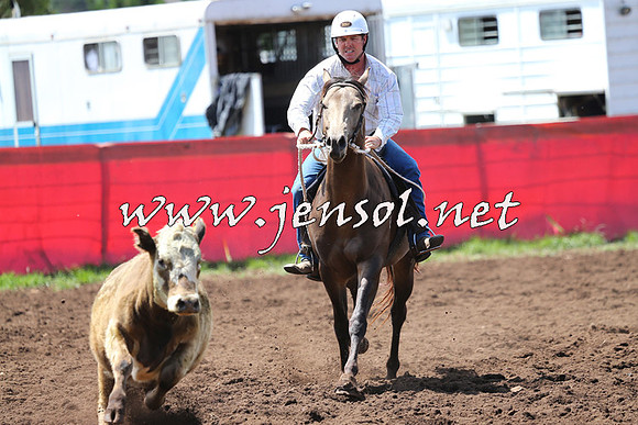 NimmitabelCampdraft2015_0110