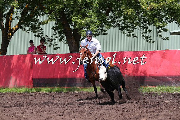 NimmitabelCampdraft2015_0085