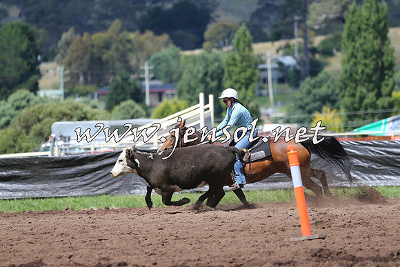 NimmitabelCampdraft2015_0260