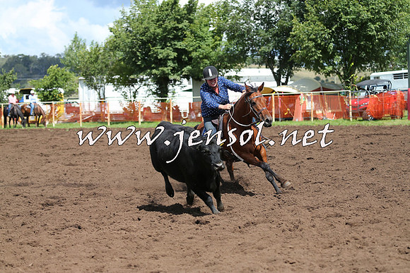 NimmitabelCampdraft2015_0282