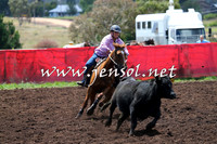 NimmitabelCampdraft2015_0014