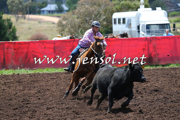NimmitabelCampdraft2015_0014