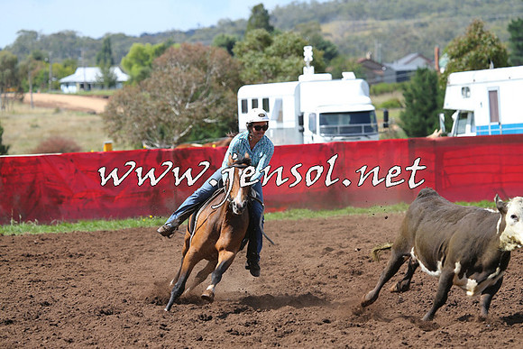 NimmitabelCampdraft2015_0250