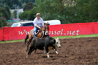 NimmitabelCampdraft2015_0038