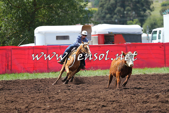 NimmitabelCampdraft2015_0070