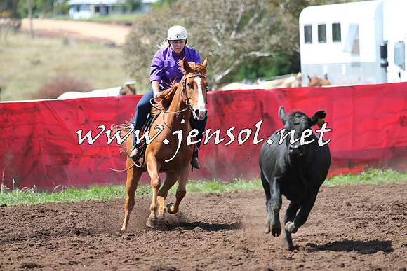 NimmitabelCampdraft2015_0198