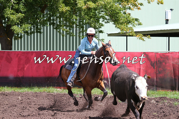NimmitabelCampdraft2015_0251