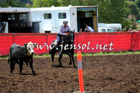 NimmitabelCampdraft2015_0016