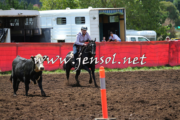 NimmitabelCampdraft2015_0016