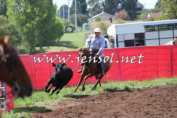 NimmitabelCampdraft2015_0231