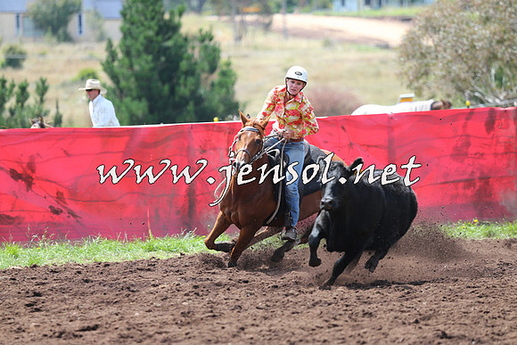 NimmitabelCampdraft2015_0059