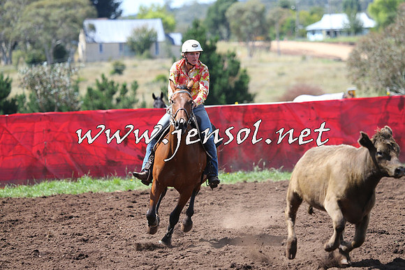 NimmitabelCampdraft2015_0205