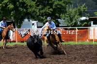 NimmitabelCampdraft2015_0020