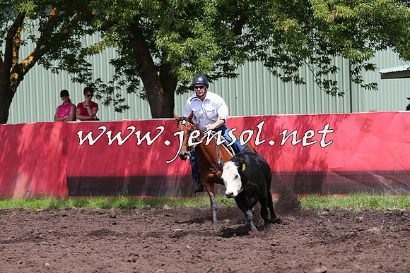 NimmitabelCampdraft2015_0087