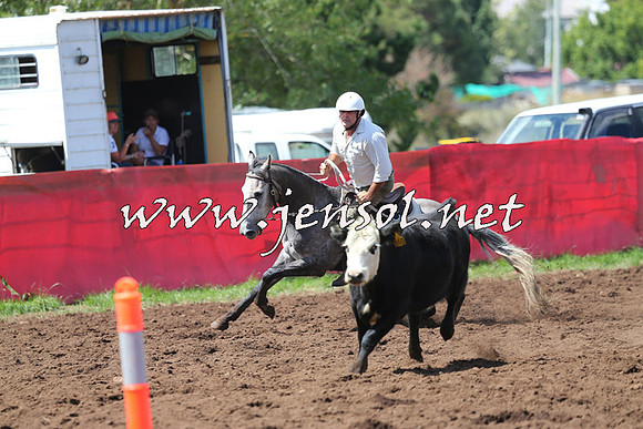 NimmitabelCampdraft2015_0238