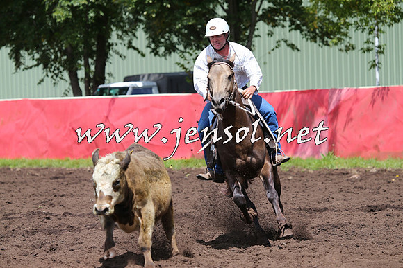 NimmitabelCampdraft2015_0112