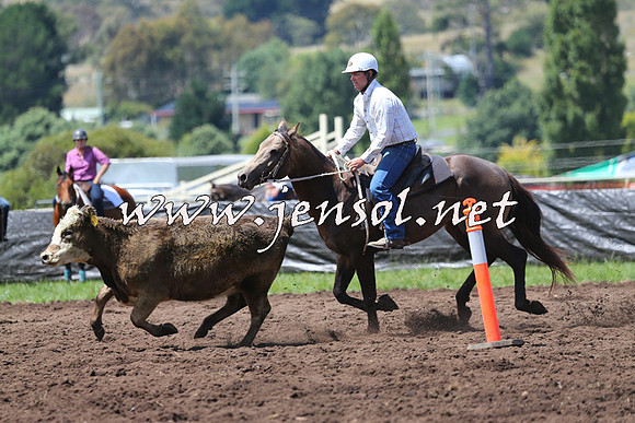 NimmitabelCampdraft2015_0121