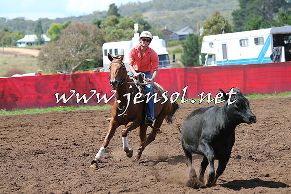 NimmitabelCampdraft2015_0233