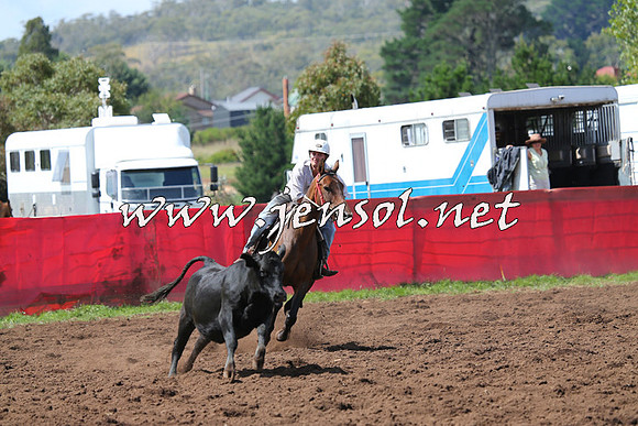 NimmitabelCampdraft2015_0242