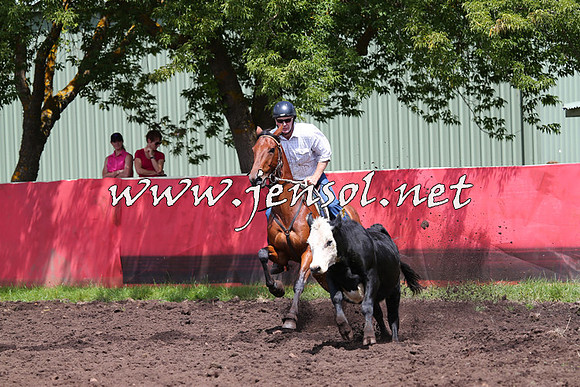 NimmitabelCampdraft2015_0094