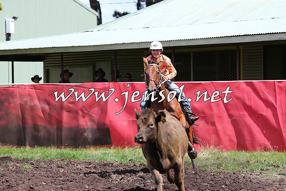 NimmitabelCampdraft2015_0209