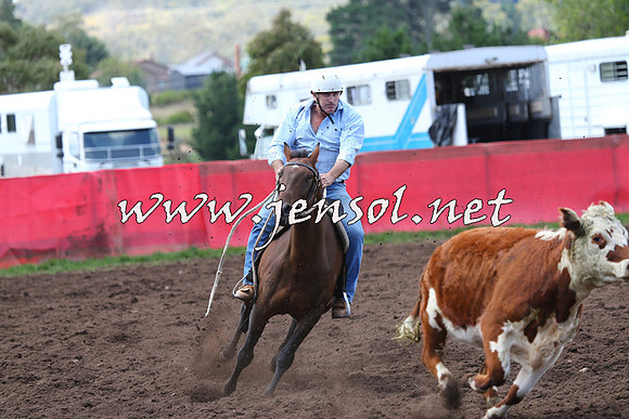 NimmitabelCampdraft2015_0150