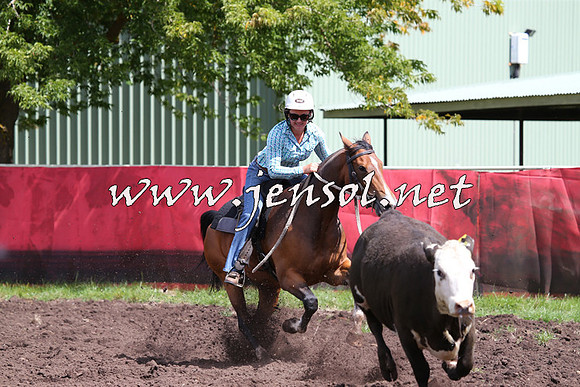 NimmitabelCampdraft2015_0252