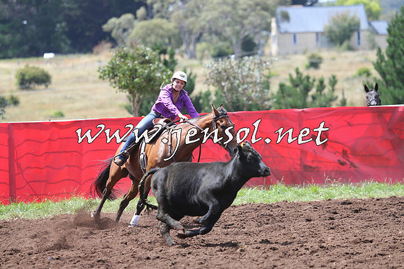 NimmitabelCampdraft2015_0148
