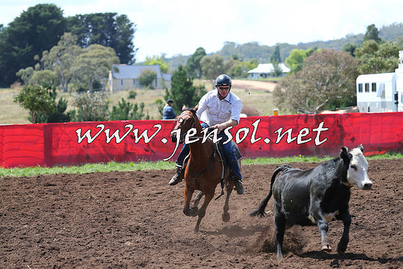 NimmitabelCampdraft2015_0082