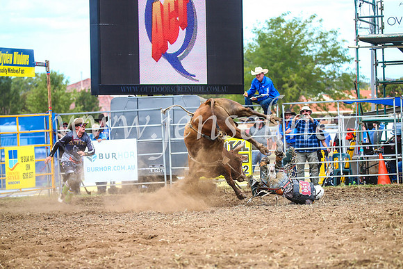 QueanbeyanRodeo2017_2076
