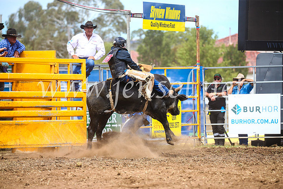 QueanbeyanRodeo2017_2296