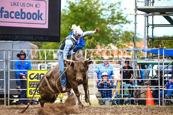 QueanbeyanRodeo2017_2095