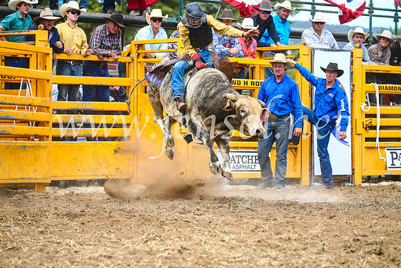 QueanbeyanRodeo2017_2177