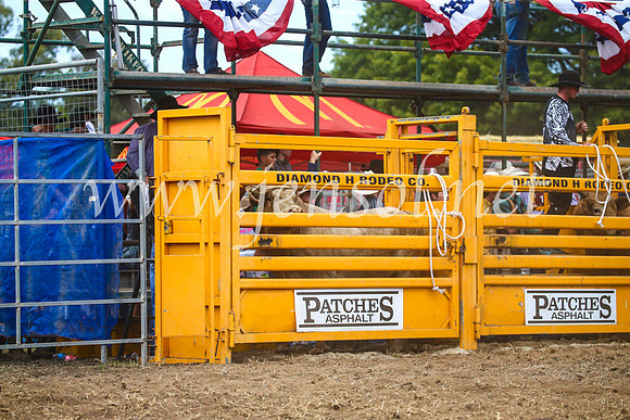 QueanbeyanRodeo2017_1873