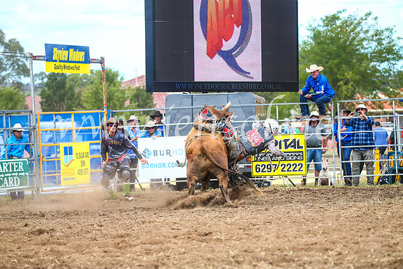 QueanbeyanRodeo2017_2065